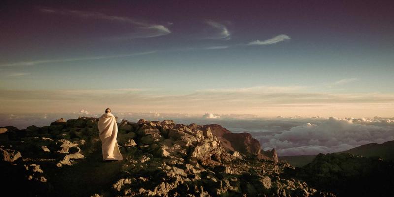 FUE植发效果时间线全解析：从脱落期到最终生长的完整过程与头皮护理