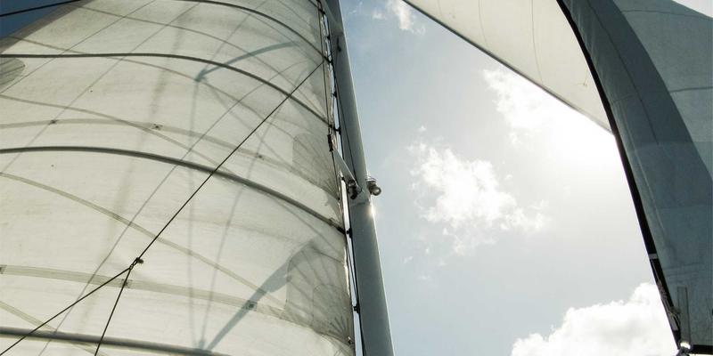 Finding the Best Hair Transplant Surgeon: Your Essential Guide to Medical Aesthetics and Follicular Unit Extraction