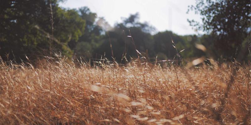 Follicular Unit Extraction (FUE): A Modern Solution for Hair Restoration