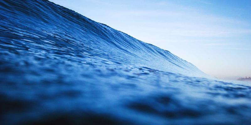 Hair Transplant: A Comprehensive Guide to Modern Hair Restoration Solutions