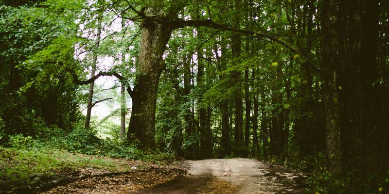 Hair Transplant Recovery Guide: How to Identify, Prevent, and Manage Common Complications Like Folliculitis and Swelling