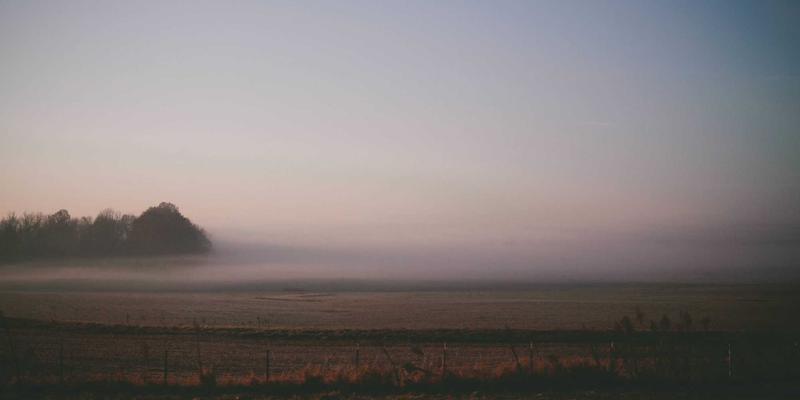 女性发际线调整与头顶加密：植发手术中的特殊考量与美学设计