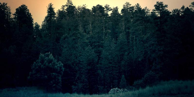 植发后头皮护理指南：FUE术后米诺地尔与非那雄胺的精准使用策略