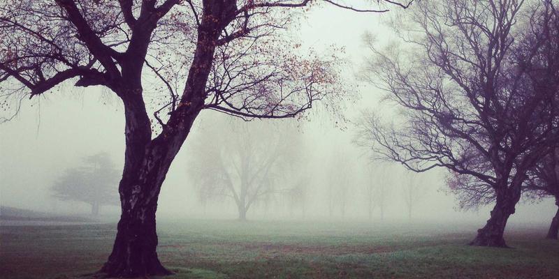 植发后睡眠姿势全指南：科学睡姿保护FUE毛囊存活率
