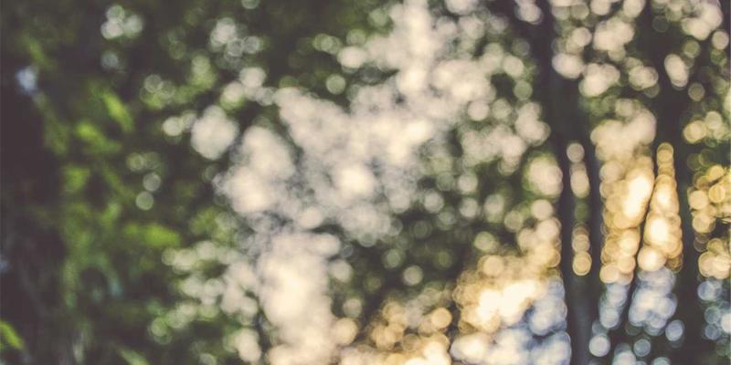 植发密度科学设计：如何通过Follicular Unit Extraction实现自然度与资源利用的完美平衡