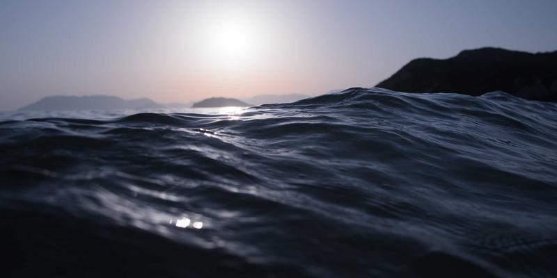 植发密度计算的艺术：如何根据供体资源与脱发级别设计自然发量