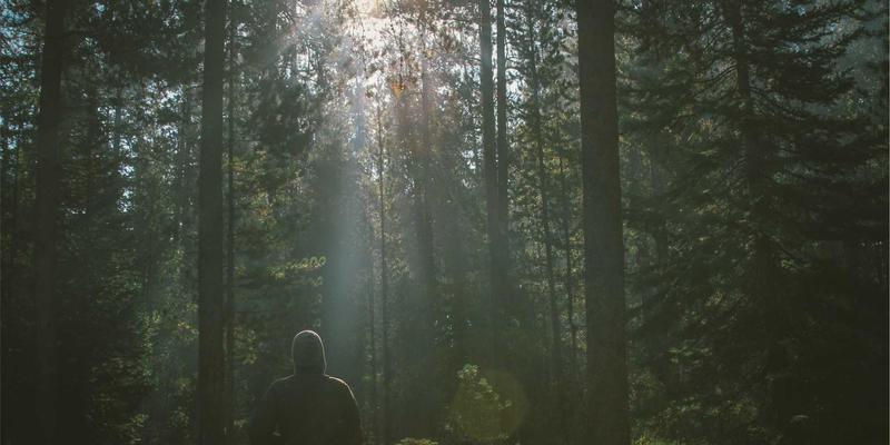 植发手术：从脱发困扰到自信重塑的现代解决方案