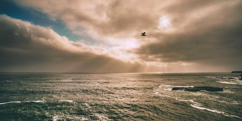 植发手术的医疗团队资质指南：如何选择合格的FUE外科医生与诊所