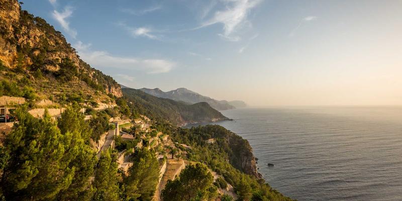 植发费用构成详解：如何规划hair restoration预算并避免隐形消费