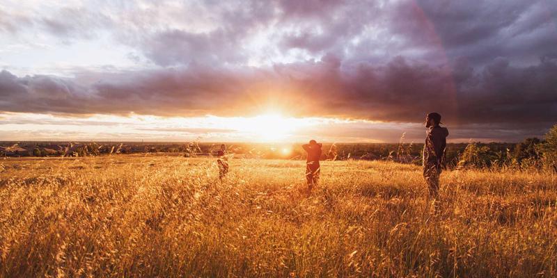 疤痕性脱发植发修复：FUE技术如何让烧伤与手术疤痕重获新生