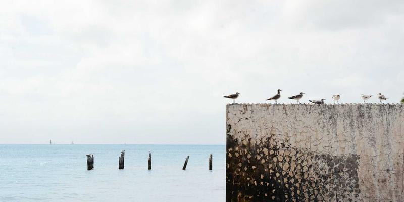 重塑自信：现代毛发移植技术（FUE）如何革新医疗美学